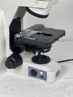 Nikon Eclipse E400 Microscope - Customizable Professional Laboratory Imaging System